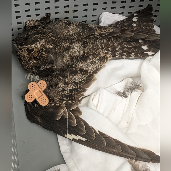 Meet your Posher, Katherine - Picture 10 of 15